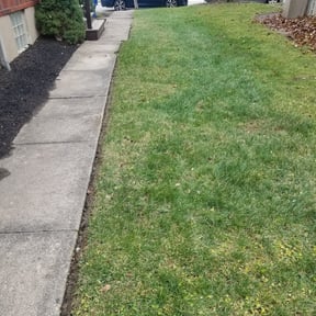 Leaf Removal by 19th Hole Landscaping reviewed on September 14, 2025