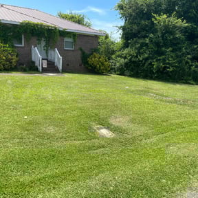turf maintenance by Ricos Landscaping &lawn care reviewed on May 2, 2025