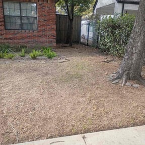 Leaf Removal by Salamanca's Landscaping LLC  reviewed on December 25, 2025