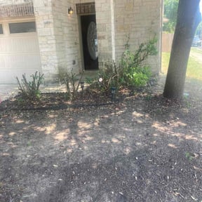 Bush Trimming by Solid Ground Landscaping reviewed on August 16, 2025