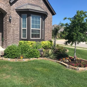 Bush Trimming by Landscape reviewed on August 20, 2025