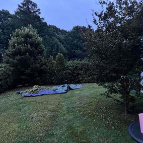 Bush Trimming by CJ's Home and Lawn Solutions reviewed on August 16, 2025