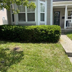 Bush Trimming by Ron's Lawns LLC reviewed on August 19, 2025