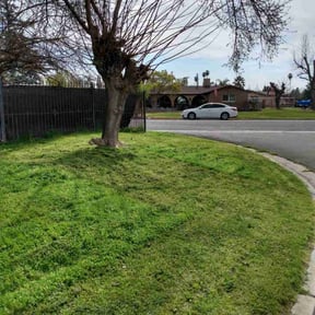 grass cutting by S&W Services reviewed on May 7, 2024