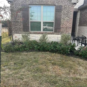 Bush Trimming by EDEN SERVICES.     TODD EDEN reviewed on December 12, 2025