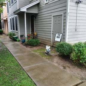 Bush Trimming by Ecmp Landscaping reviewed on August 15, 2025