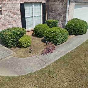 Bush Trimming by Soto landscape reviewed on October 20, 2025