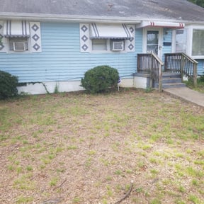 Bush Trimming by BSM & Co. Landscaping reviewed on August 20, 2025