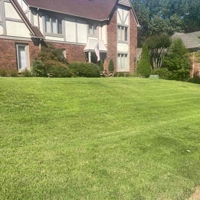 landscaping by CQC reviewed on August 17, 2025