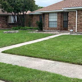 lawn care by Ocampo Lawn care reviewed on August 21, 2025