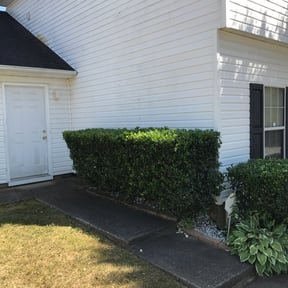 Bush Trimming by S & S Landscaping reviewed on August 18, 2025