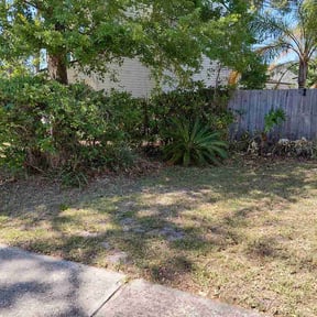 Bush Trimming by K Sisters Lawncare reviewed on April 19, 2026