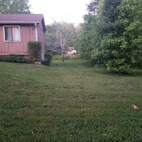 Bush Trimming by A step Above lawn service reviewed on August 16, 2025