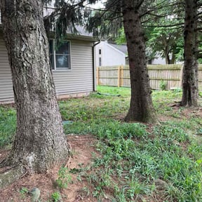 Bush Trimming by Lawnawn, LLC reviewed on January 1, 2026