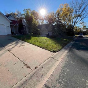 Leaf Removal by Hennesay Yard Clean up reviewed on November 10, 2025