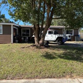 Bush Trimming by Vexs Lawncutters reviewed on December 25, 2025