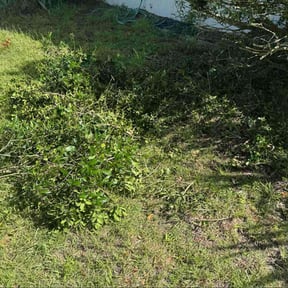 Bush Trimming by We Do It All Lawn Services reviewed on October 24, 2025