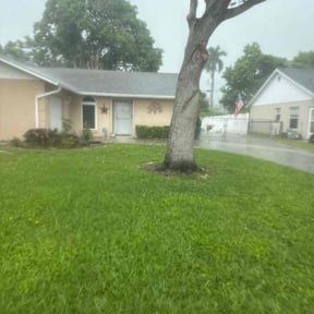 Bush Trimming by Apply Pressure Making Jewels reviewed on October 20, 2025