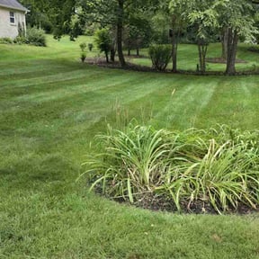 residential landscaping by Virgil lawn service reviewed on August 19, 2025