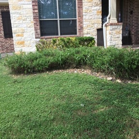 Bush Trimming by C.A.G Lawncare reviewed on August 18, 2025