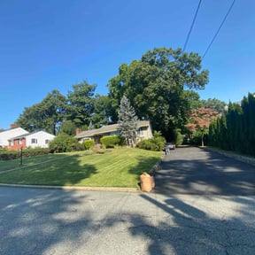 lawn care by Felo Pride lawn services reviewed on May 1, 2024