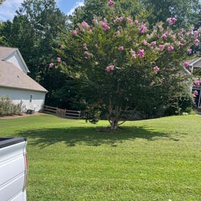 landscape maintenance by All Star Lawn Services reviewed on August 18, 2025