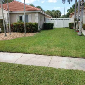 yard care by RazaSharpe lanscaping LLC reviewed on August 16, 2025