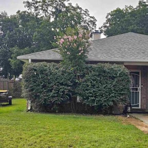 Bush Trimming by TAT Landscaping &amp; Snow Removal LLC reviewed on August 6, 2026