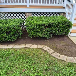 Flower Bed Weeding by Tried &amp; True Landscape reviewed on October 24, 2025