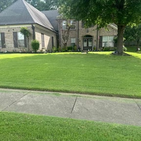 yard work by The Bilingual Landscape Artist reviewed on August 21, 2025
