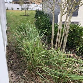 Bush Trimming by Affordable Lawncare reviewed on August 18, 2025