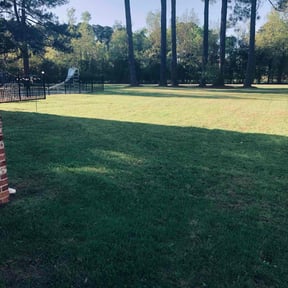 turf maintenance by Alpha Brothers Propery Maintenance reviewed on June 28, 2021