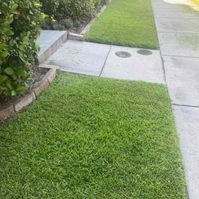 yard maintenance by One Kool Kat Lawn Care reviewed on January 8, 2026
