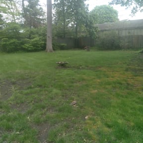 Leaf Removal by 804 Lawn Pros LLC reviewed on August 17, 2025