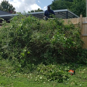 Bush Trimming by KCsLawncare reviewed on August 16, 2025
