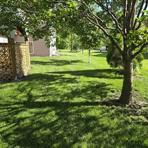 turf care by Nicks Lawn Care reviewed on May 21, 2024