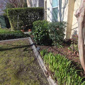 Bush Trimming by Iron city Couriers  reviewed on June 20, 2022