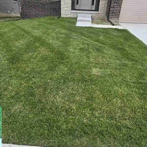 landscaping services by Torres Lawn Care reviewed on August 16, 2025