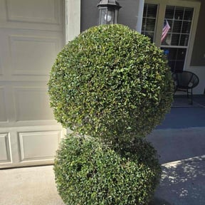 Bush Trimming by RHJ LANDSCAPING LLC reviewed on November 21, 2025