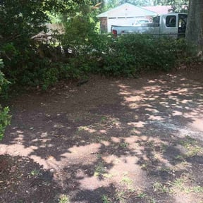 Leaf Removal by Garden of Eden Lawn Care Services reviewed on September 14, 2025