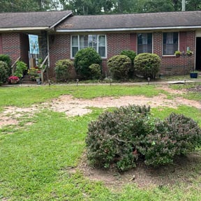 Bush Trimming by Crigler Lawncare reviewed on August 18, 2025