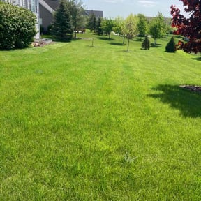yard work by Outsiders Landscape Co. LLC reviewed on August 19, 2025