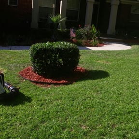 Bush Trimming by Freedom Lawn Care reviewed on August 19, 2025