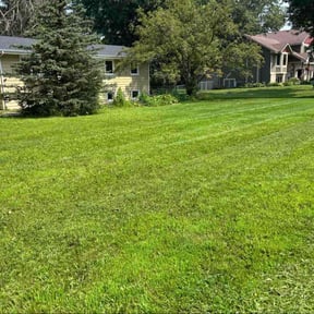 landscape maintenance by NTP Services reviewed on August 20, 2025