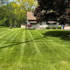 yard maintenance by Green cuts lawn service reviewed on November 29, 2025