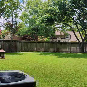 landscaping by The Green Spot reviewed on August 18, 2025