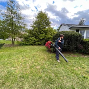 Bush Trimming by Cutting Edge reviewed on November 23, 2025