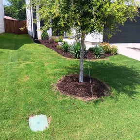 lawn care services by Dynamic Do-Al reviewed on May 14, 2025