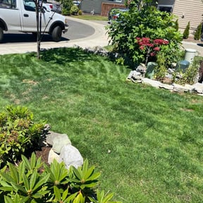 landscaping by CUT Tulsa Lawn Co. reviewed on August 19, 2025