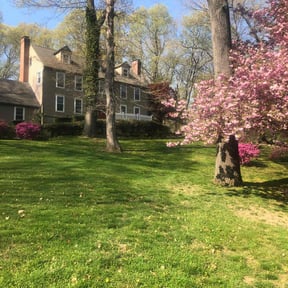 grass cutting by Mother Nature Cuts LLC reviewed on May 16, 2024
